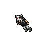 Player Outfit