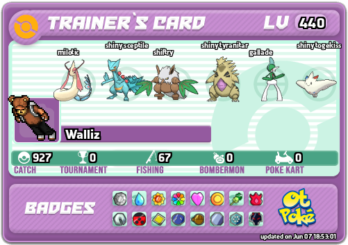 Walliz Card otPokemon.com